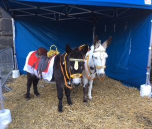 Pop up Christmas Market Success