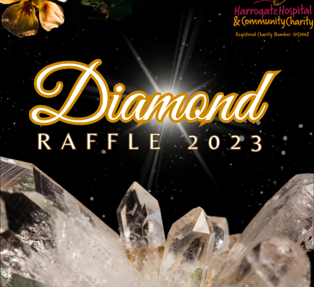 Diamond Raffle Winning Numbers 2023