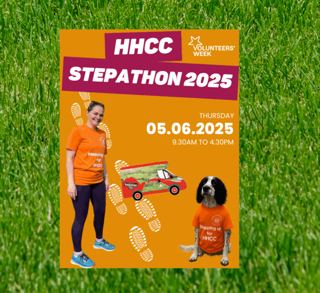Stepathon 2025