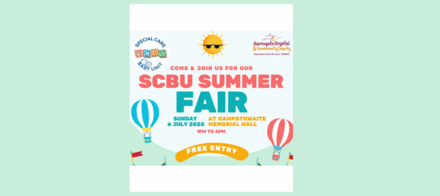 SCBU Summer Fair