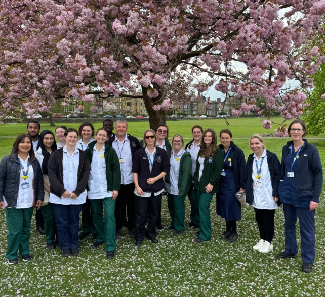 Intermediate Care Team take on the Nidderdale Walk 2025