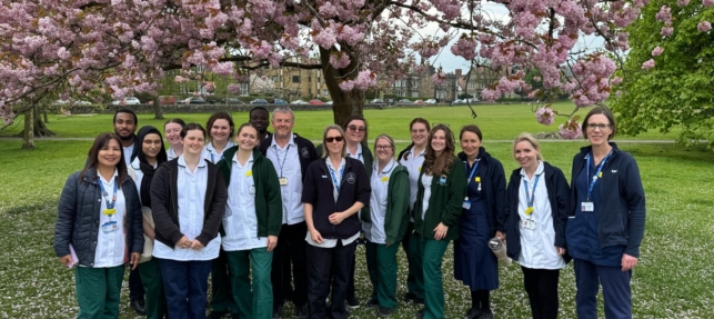 Intermediate Care Team take on the Nidderdale Walk 2025